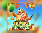 Groundhog Harvest